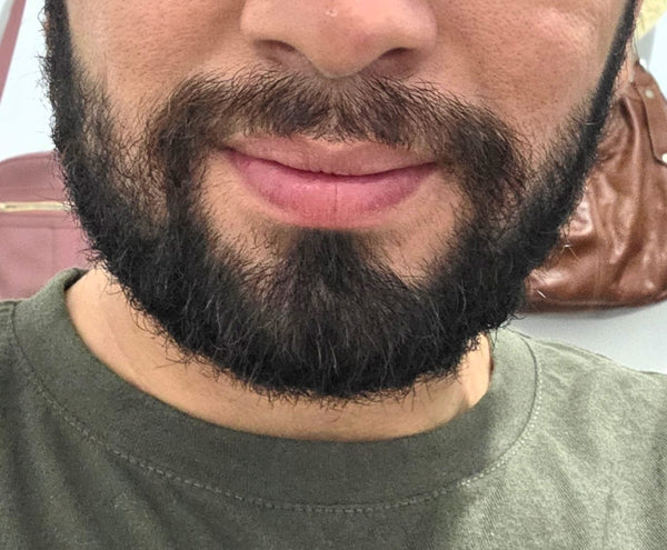 Andres Meneses